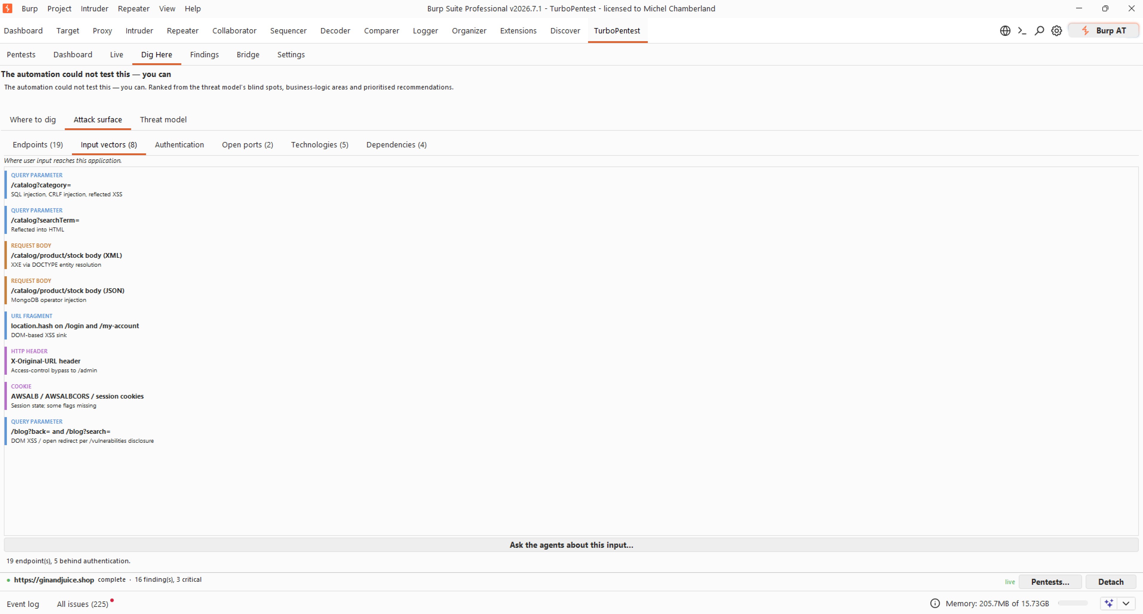 The Attack surface tab in the TurboPentest Burp extension listing input vectors - query parameters, request bodies (XML and JSON), URL fragments, HTTP headers and cookies - each tagged with where user input reaches the application.